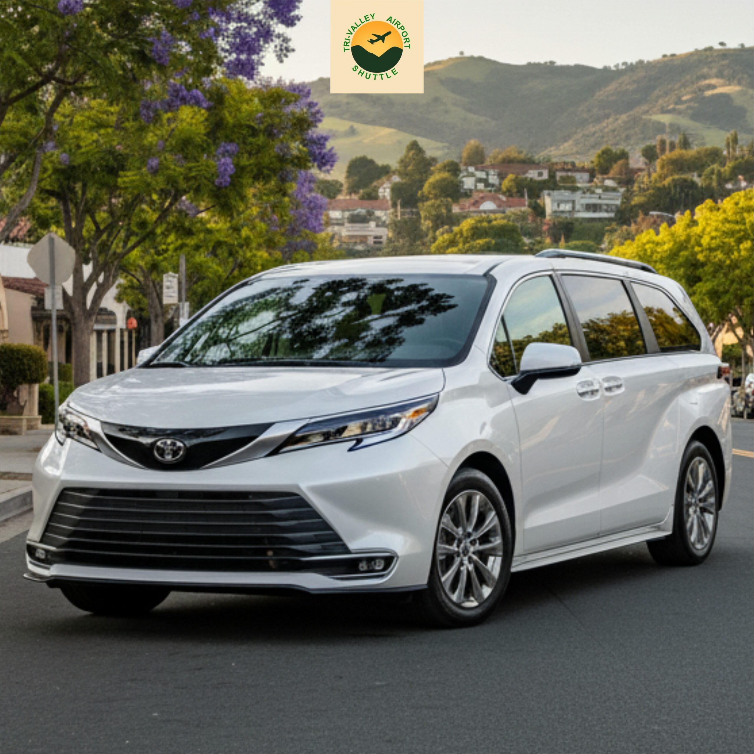 Airport Shuttle Pleasanton ca